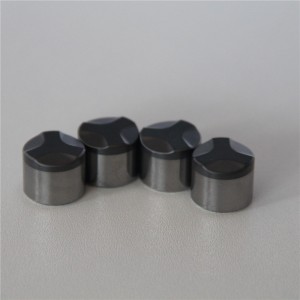China PDC Insert 