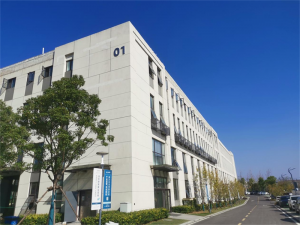 C0609 Conical DEC (diamond enhanced compact)